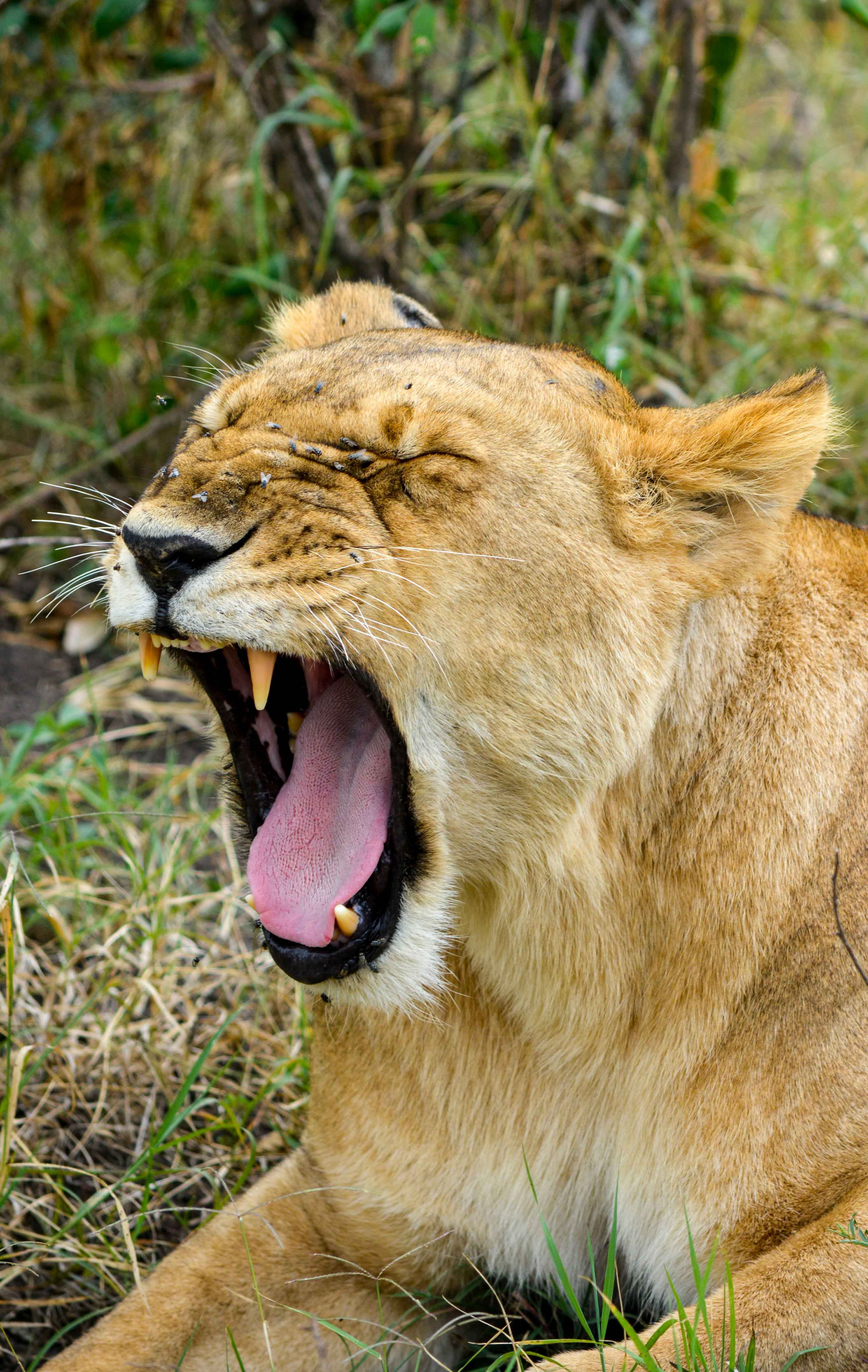 sneha cecil 8bAPORJTpYI unsplash