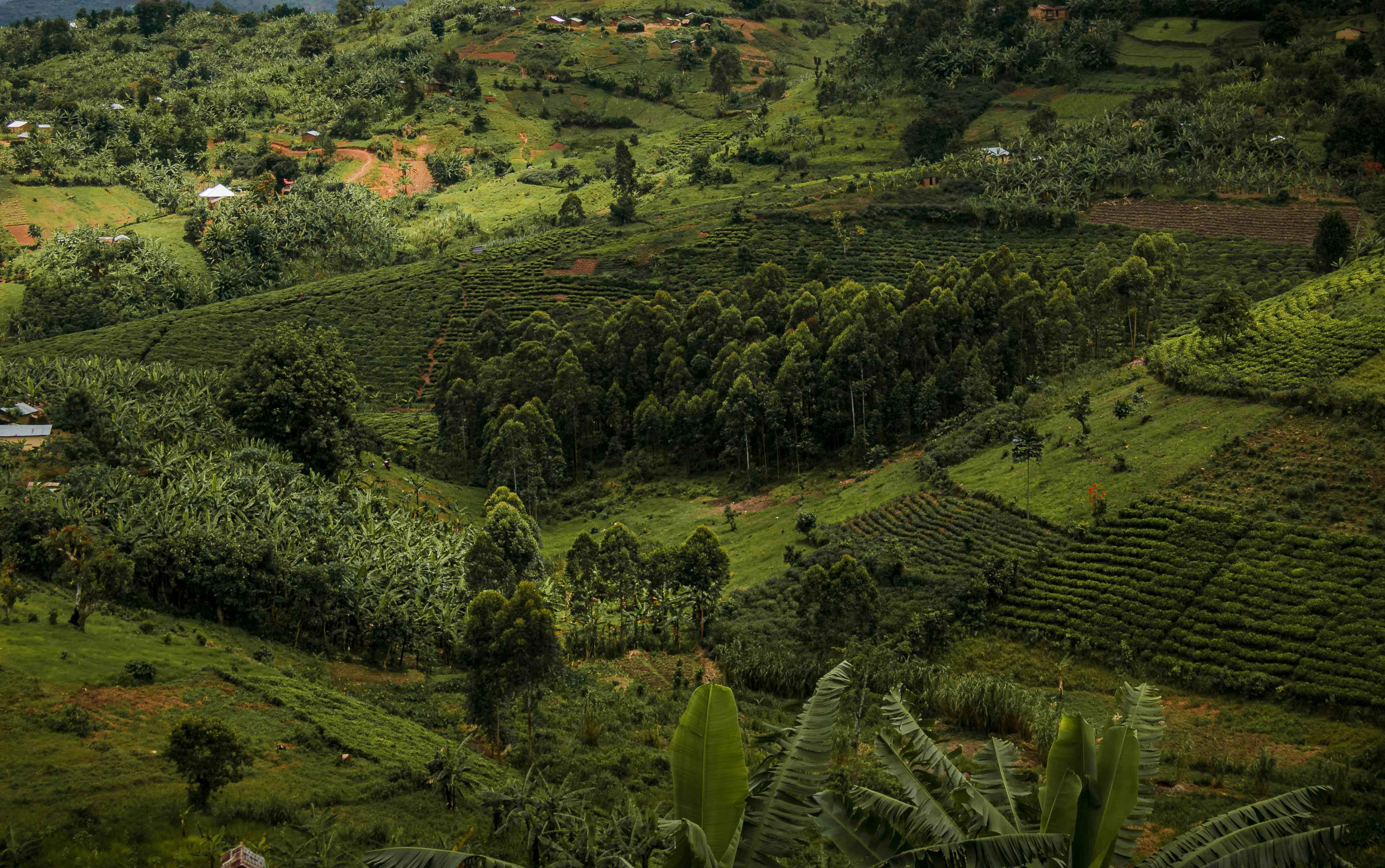 Flobeth Travel - nature