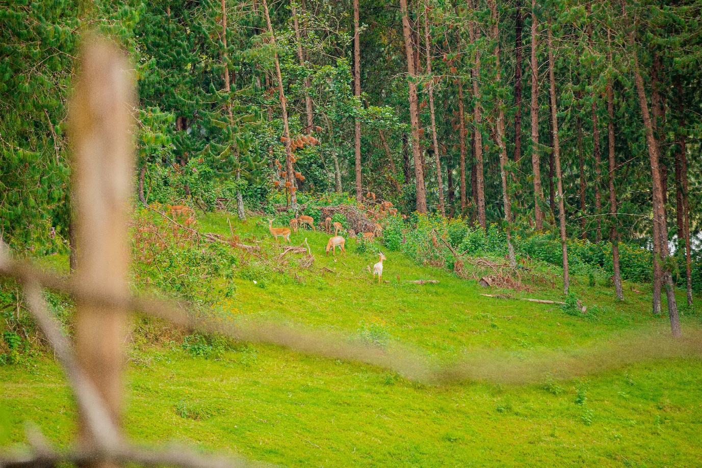 Tourists water tubing on Uganda lake