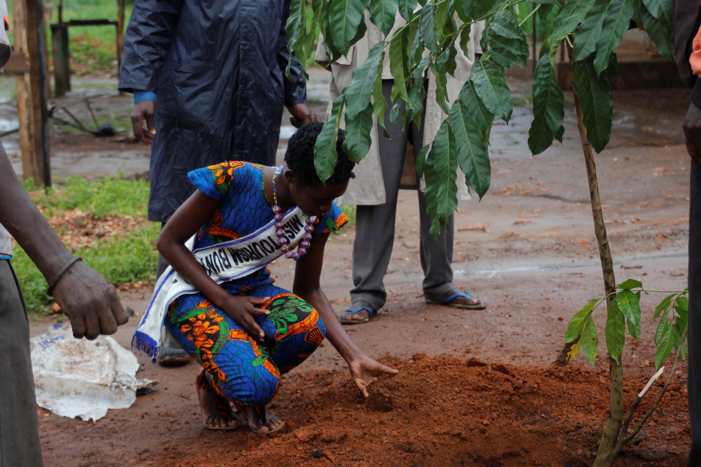 Community tree planting - conservation Uganda