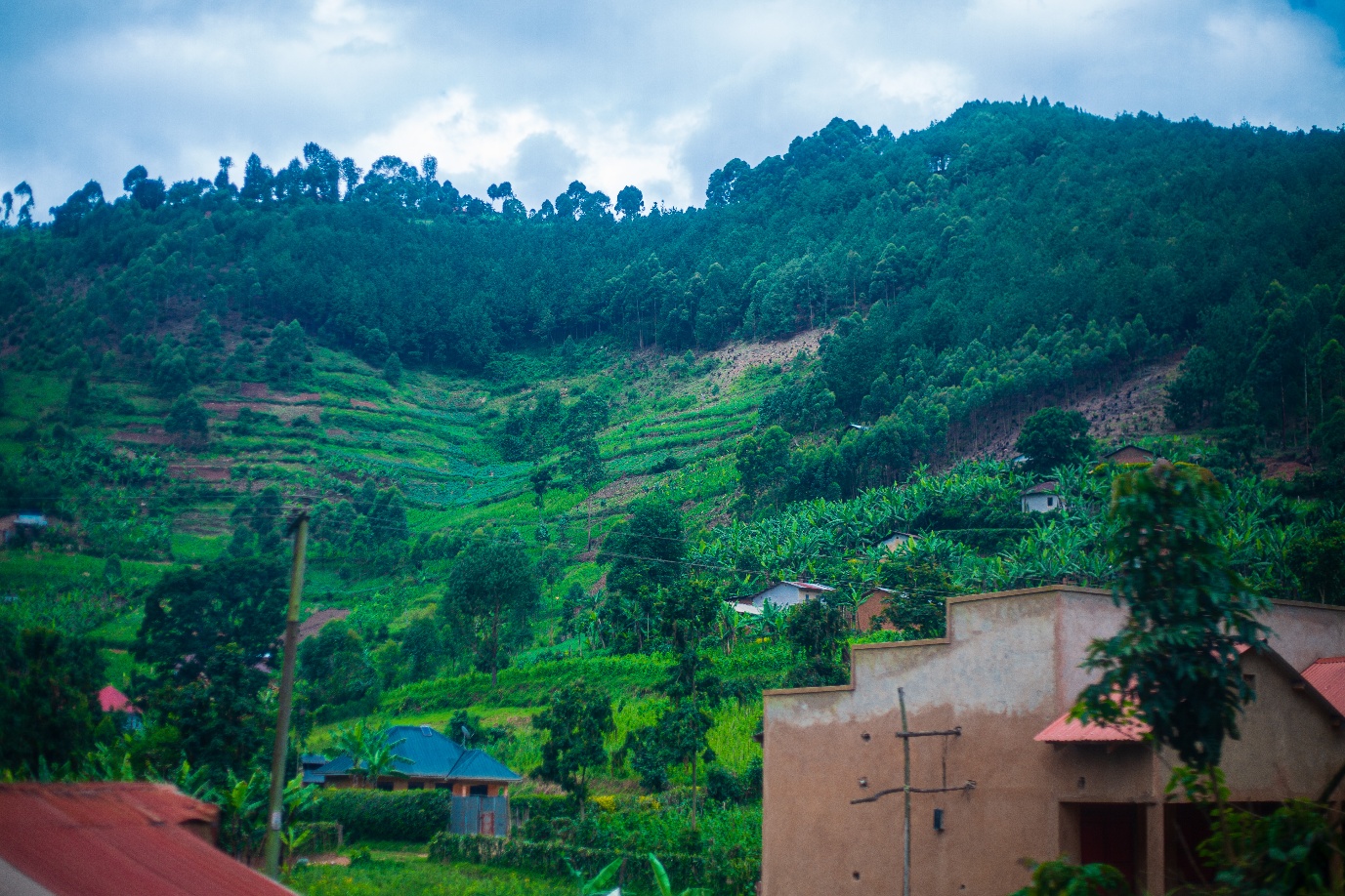 Uganda village on terraced hillside