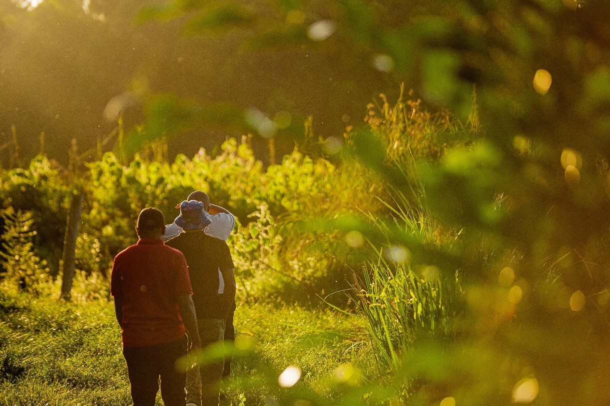 Agro-Tourism Experience